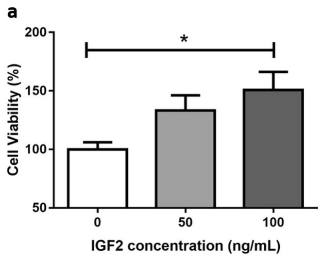 H295R cells viability after incubation without or with IGF2.jpg